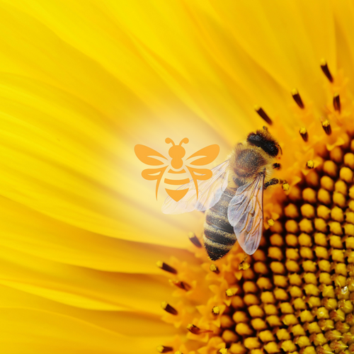 Beekeeper Beebay Darenteed from United Kingdom