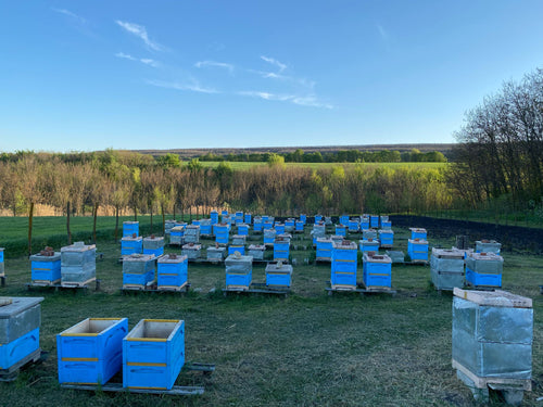 Beekeeper Miere Naturala from Moldova